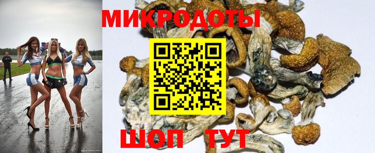 Галлюциногенные грибы прущие грибы Железногорск