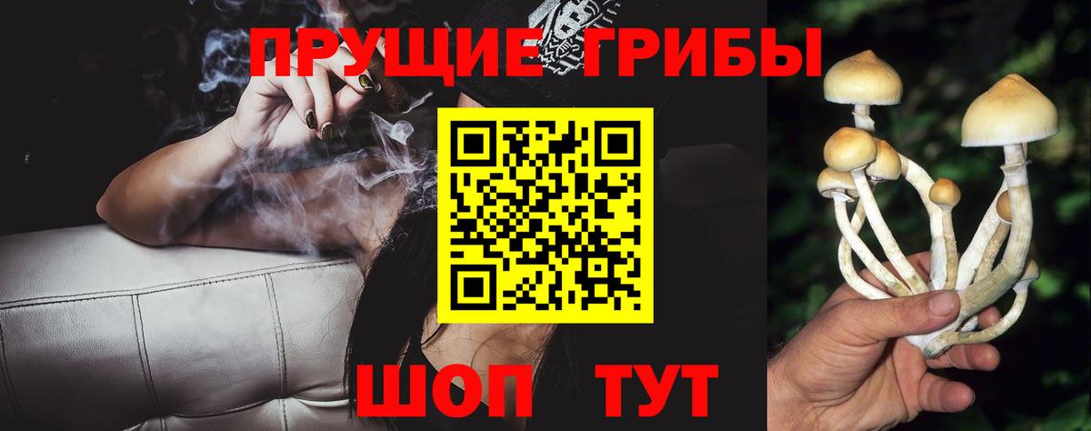 Железногорск  Псилоцибиновые грибы мухоморы  Вход с VPN 